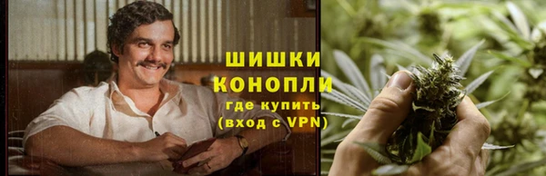 прущие грибы Аркадак