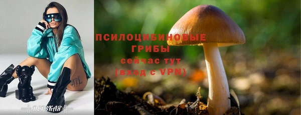 соль курить ск Арсеньев