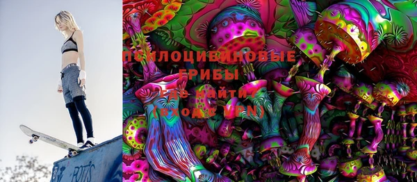 прущие грибы Аркадак