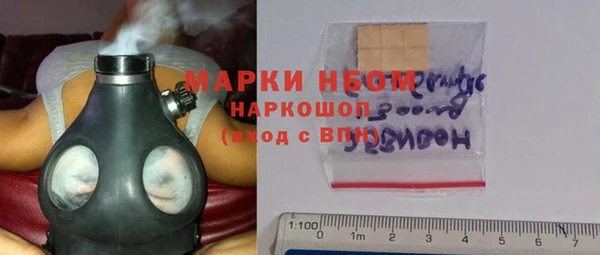 индика Армянск