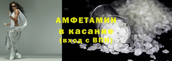 прущие грибы Аркадак
