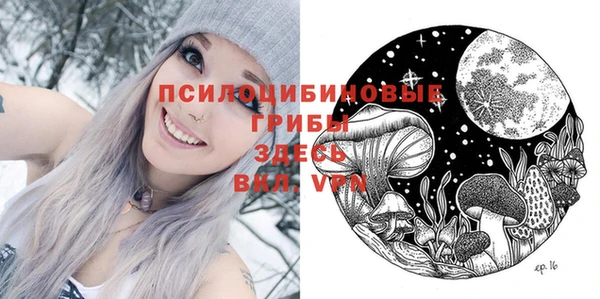 соль курить ск Арсеньев