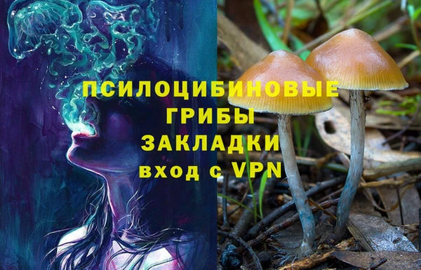 соль курить ск Арсеньев