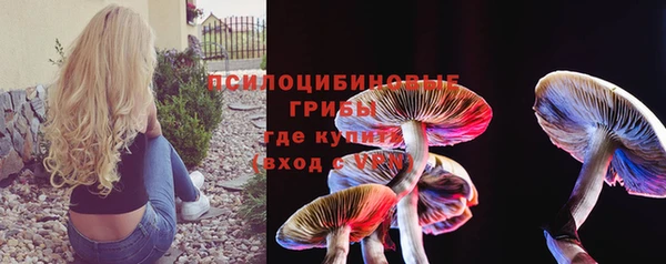 индика Армянск