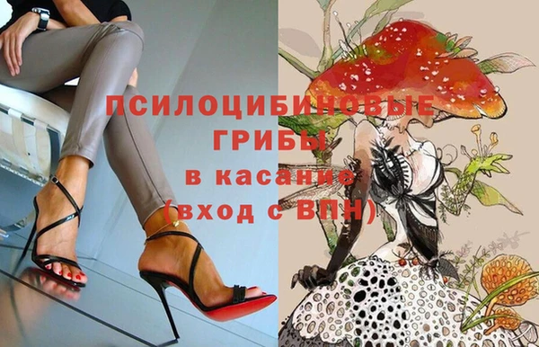 индика Армянск