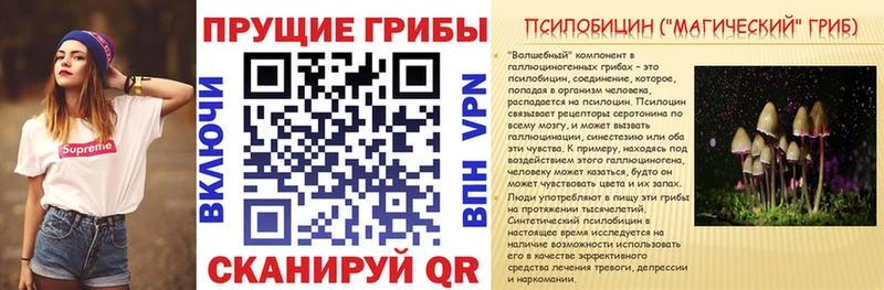 Галлюциногенные грибы прущие грибы  Могоча 